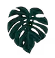 Quirky Plants